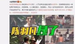 爆料衡水出轨案件视频最新,真相与争议交织