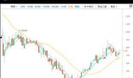 美国最新爆料消息分析