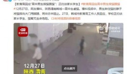高中生最新爆料视频网站,高中生最新爆料视频网站，带你走进校园生活新视角